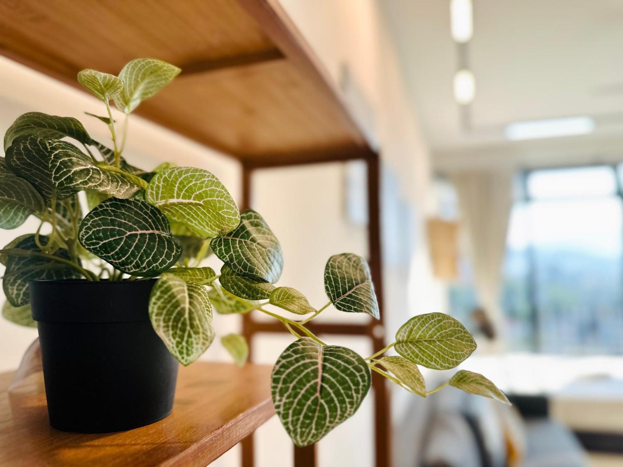 New Georgetown Instagramable 2Br Homestay For 10Pax 无敌美景两房民宿 Beacon Executive Suite المظهر الخارجي الصورة